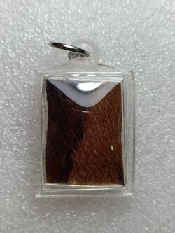 หนังเสือ หลังยันต์ ไม่ทราบที่ (SKU-10134)