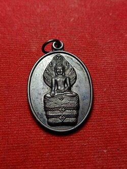 เหรียญพระนาคปรก หลวงปู่ลือ วัดป่านาทามวนาวาส จ.มุกดาหาร ปี 2541 (SKU-06412)