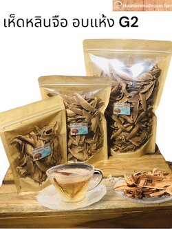 เห็ดหลินจือสายพันธุ์ของกรมวิชาการเกษตร G2 ฟาร์มเห็ดบ้านหัวน้ำ