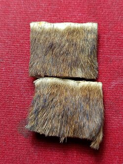 หนังเสือ ขนาด 1*1.5 นิ้ว จำนวน 2 ชิ้น ไม่ทราบที่ (SKU-09186)