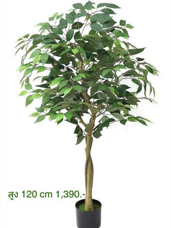 ต้นไทรปลอม ต้นไม้ปลอม ต้นไม้ประดิษฐ์ ต้นไม้เทียม