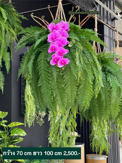 ต้นเฟิร์นปลอมแบบแขวน กระเช้าเฟิร์นปลอมเสมือนจริง งานเกรดพรีเมี่ยม ราคาปลีก-ส่ง
