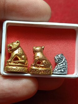 ชุดเสือจิ๋ว หลวงพ่อสมชาย วัดปริวาสราชสงคราม กทม. (SKU-11708)