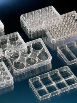 140675 6-well Nunclon,75/cs