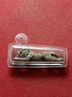 เสือหลวงพ่อแย้ม วัดตะเคียน จ.นนทบุรี (SKU-09660)