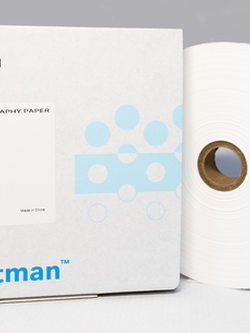 Chromatography Papers Grade 1 CHR , ยี่ห้อ Whatman™ 3001