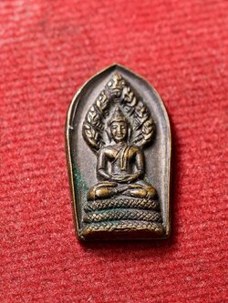 เหรียญพระนาคปรก หลวงปู่ไปล่ วัดดาวเรือง จ.ปทุมธานี (SKU-13742)