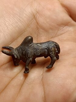 วัวธนูไม่ทราบที่ (SKU-00534)