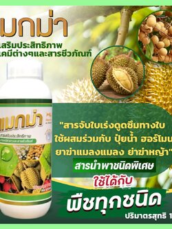 แมกม่า(MAXMA) 1 ขวด 1000 cc. สารจับใบดูดซึมเร็วภายใน 1-3 วินาที เป็นสารเสริมประสิทธิภาพสูตรเข้มข้นใช้ได้กับพืชทุกชนิด