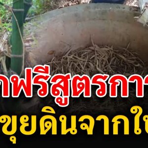 สอนทำ ปุ๋ย ขุยดินไผ่จากใบไม้แห้ง แบบละเอียด มีวีดีโอ