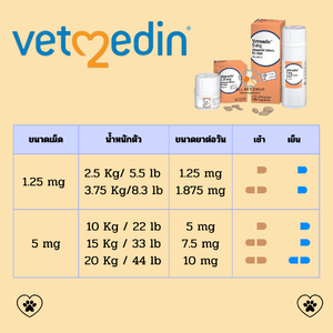 Vetmedin สำหรับสุนัข: ยารักษาโรคหัวใจที่ช่วยเพิ่มคุณภาพชีวิตและสุขภาพหัวใจ