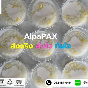 รีวิวถ้วย 300 มล.