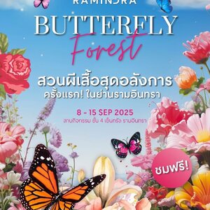 🦋Butterfly Forest สวนผีเสื้อสุดอลังการ ครั้งแรกในย่านรามอินทรา🌸✨