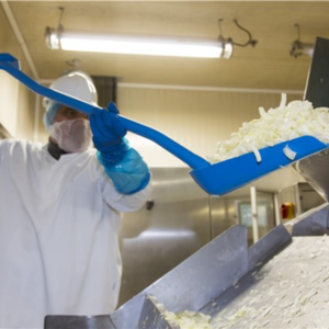 พลั่วและไม้พายฟู้ดเกรด