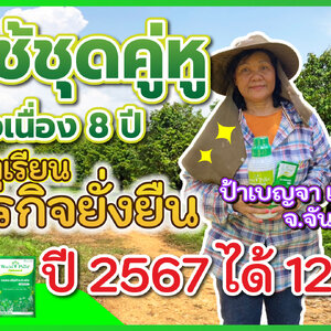 สวนทุเรียน 40 ไร่ ประมาณ 1000 ต้น อายุ 10 ปี 15 ปี 20 ปี โดยเริ่มใช้ ชุดคู่หูมหัศจรรย์ ตั้งแต่ 8 ปี