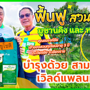 เวิลด์แพลนท์ทีม เดินทางมาพบกับ คุณณรงค์ชัย เจ้าของสวนทุเรียนอายุ 3 ปี (มูซานคิง270,หมอนทอง30)