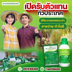 💥สามเกลอเวิลด์แพลนท์ เปิดรับตัวแทนทั่วประเทศ❗️