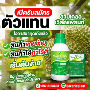 รับสมัครตัวแทน สามเกลอเวิลด์แพลนท์