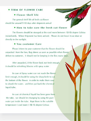TERM-OF-FLOWER-CAR