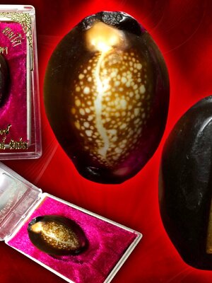 เบี้ยแก้ รุ่น สุริยุปราคา ปี 38 หลวงพ่อเกษม เขมโก พร้อมกล่องเดิมๆ ครับ