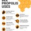 Piping rock Bee Propolis 600 mg 120 capsules โพรพอลิส บำรุงร่างกาย เสริมสร้างภูมิคุ้มกัน