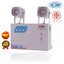 DELIGHT ไฟฉุกเฉิน สำรองไฟ 5 ชั่วโมง LED 2x3.8 วัตต์ เปิดปิดอัตโนมัต แถมแบตเตอรี่+รับประกัน5ปี พร้อมใช้งาน DLEM-238L5