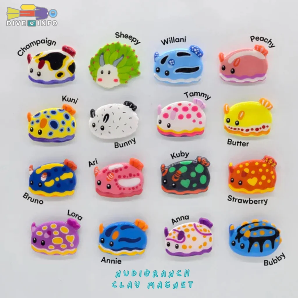 DIVE INSPIRE - NUDIBRANCH Clay Magnet , NUDI Blind Box รวมของน่ารัก ของที่ระลึก DIVE INSPIRE - NUDIBRANCH Clay Magnet , NUDI Blind Box รวมของน่ารัก ของที่ระลึก