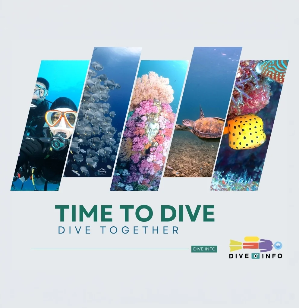 ไปดำน้ำกับ Dive Info Our Scuba Diving Trip DIVE INFO มีทริปดำน้ำทั้งในประเทศ และต่างประเทศให้เลือก สำหรับน้องใหม่ที่ยังไม่มีบัดดี้ ไม่มีกลุ่มดำน้ำของตัวเอง ก็ไม่มีปัญหา เรารับรองว่า ไปทริปกับ Dive Info ไม่มีเหงาแน่นอน ไปคนเดียวก็ได้เพื่อนกลับมา ไปหลายคนก็จะได้รู้จักก๊วนดำน้ำที่ใหญ่ขึ้น ส่วนท่านใดที่ยังไม่มั่นใจทักษะในการดำน้ำของตนเอง ก็ไม่ต้องเป็นห่วง เพราะเรามีการ refresh skill ให้ในราคาพิเศษ หากจองทริปกับทาง Dive Info ทริปส่วนใหญ่ในตาราง จะเป็นทริปช่วงเทศกาล แต่สำหรับกลุ่มนักดำน้ำ 2-4 คน ที่อยากจะไปทริปดำน้ำ ในช่วงวัน/เวลาที่ไม่ได้มีระบุไว้ในตารางของร้าน ก็สามารถสอบถามมาได้ ทางเราจะจัดหาเรือให้สำหรับนักดำน้ำกลุ่มย่อยได้ตามความต้องการของท่าน โดยทริปในประเทศ ที่เป็นการดำน้ำแบบ Liveaboard ช่วงเดือน ต.ค.-เม.ย. เราจะไปดำน้ำกันทางฝั่งอันดามัน ซึ่งช่วงนั้นคลื่น ลมจะค่อนข้างสงบ ส่วน เดือน พ.ค.-ก.ย. ส่วนใหญ่เราจะไปดำน้ำกันแถบชุมพร เกาะเต่า เพื่อเลี่ยงมรสุมทางฝั่งอันดามันค่ะ หากต้องการสอบถามทริป จองทริป สามารถติดต่อที่ email: info@diveinfo.net, line ID: @diveinfo หรือ โทร. 097-210-5041 ได้ค่ะ ##ใบอนุญาตประกอบธุรกิจนำเที่ยว เลขที่ 11/09475## ไปดำน้ำกับ Dive Info Our Scuba Diving Trip DIVE INFO มีทริปดำน้ำทั้งในประเทศ และต่างประเทศให้เลือก สำหรับน้องใหม่ที่ยังไม่มีบัดดี้ ไม่มีกลุ่มดำน้ำของตัวเอง ก็ไม่มีปัญหา เรารับรองว่า ไปทริปกับ Dive Info ไม่มีเหงาแน่นอน ไปคนเดียวก็ได้เพื่อนกลับมา ไปหลายคนก็จะได้รู้จักก๊วนดำน้ำที่ใหญ่ขึ้น ส่วนท่านใดที่ยังไม่มั่นใจทักษะในการดำน้ำของตนเอง ก็ไม่ต้องเป็นห่วง เพราะเรามีการ refresh skill ให้ในราคาพิเศษ หากจองทริปกับทาง Dive Info ทริปส่วนใหญ่ในตาราง จะเป็นทริปช่วงเทศกาล แต่สำหรับกลุ่มนักดำน้ำ 2-4 คน ที่อยากจะไปทริปดำน้ำ ในช่วงวัน/เวลาที่ไม่ได้มีระบุไว้ในตารางของร้าน ก็สามารถสอบถามมาได้ ทางเราจะจัดหาเรือให้สำหรับนักดำน้ำกลุ่มย่อยได้ตามความต้องการของท่าน โดยทริปในประเทศ ที่เป็นการดำน้ำแบบ Liveaboard ช่วงเดือน ต.ค.-เม.ย. เราจะไปดำน้ำกันทางฝั่งอันดามัน ซึ่งช่วงนั้นคลื่น ลมจะค่อนข้างสงบ ส่วน เดือน พ.ค.-ก.ย. ส่วนใหญ่เราจะไปดำน้ำกันแถบชุมพร เกาะเต่า เพื่อเลี่ยงมรสุมทางฝั่งอันดามันค่ะ หากต้องการสอบถามทริป จองทริป สามารถติดต่อที่ email: info@diveinfo.net, line ID: @diveinfo หรือ โทร. 097-210-5041 ได้ค่ะ ##ใบอนุญาตประกอบธุรกิจนำเที่ยว เลขที่ 11/09475##