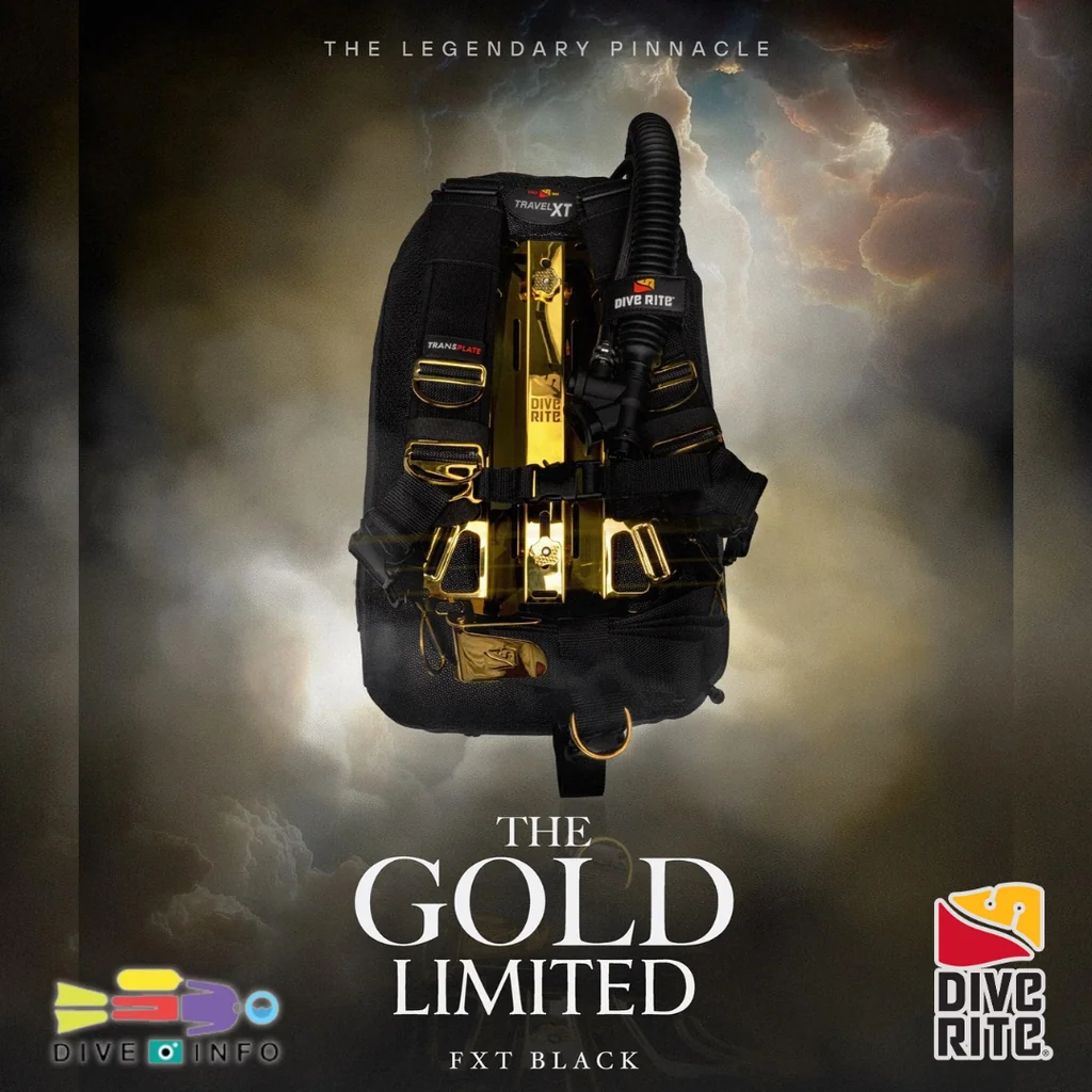 DIVE RITE - BOLD in GOLD FXT - Gold x Black Limited Edition BCD - Full SuperFablic DIVE RITE - BOLD in GOLD FXT - Gold x Black Limited Edition BCD - Full SuperFablic