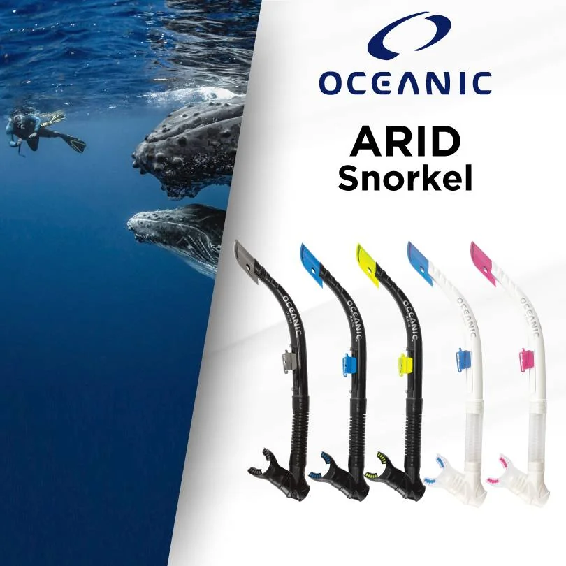 Oceanic - ARID Snorkel (สน็อคเกิ้ลสำหรับดำน้ำ) Oceanic - ARID Snorkel (สน็อคเกิ้ลสำหรับดำน้ำ)