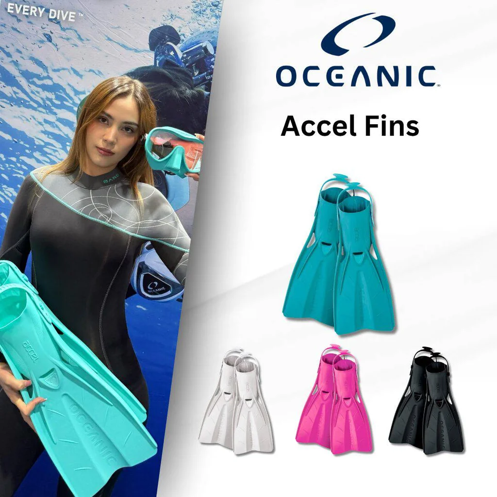 Oceanic - Accel Fins (ฟินสำหรับดำน้ำ) Oceanic - Accel Fins (ฟินสำหรับดำน้ำ)