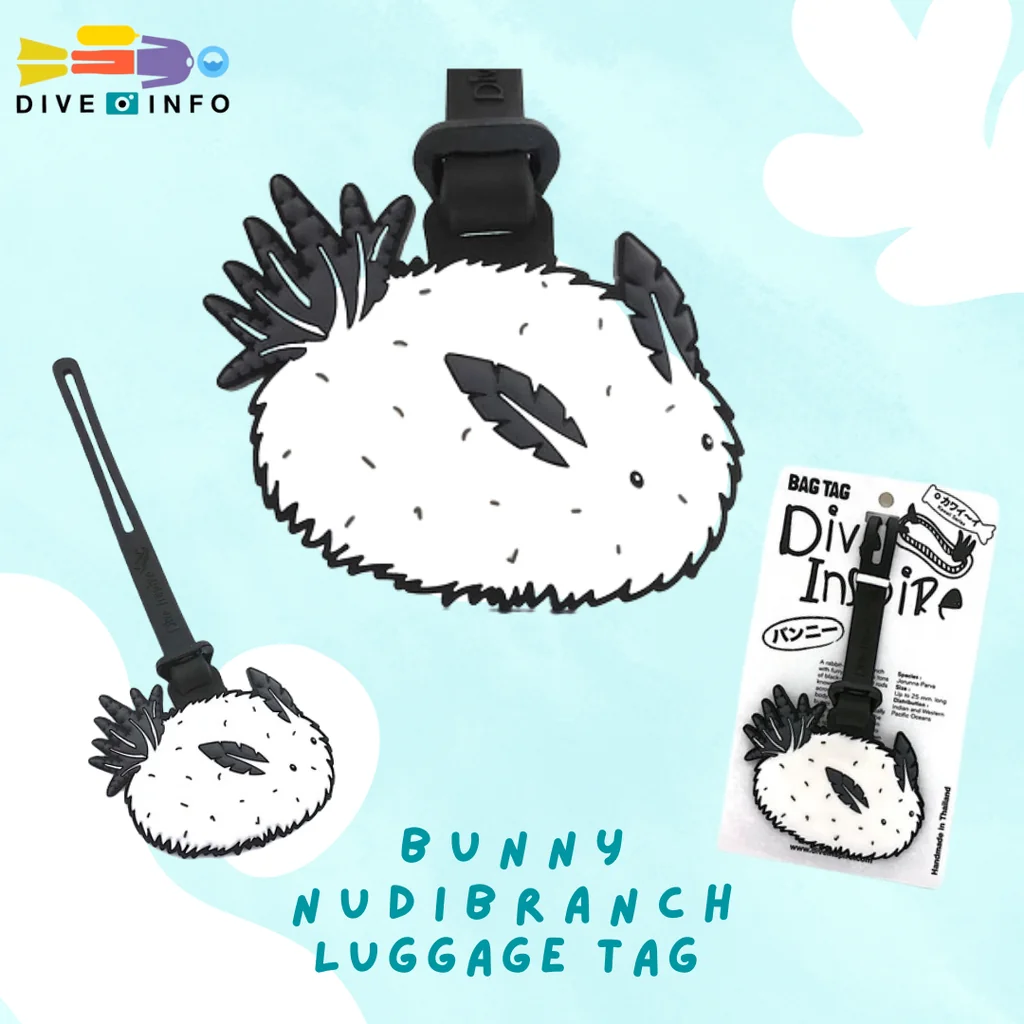 DIVE INSPIRE - Luggage Tag, Bag Tag, Key-Ring, NUDI Blind Box รวมของน่ารัก ของที่ระลึก DIVE INSPIRE - Luggage Tag, Bag Tag, Key-Ring, NUDI Blind Box รวมของน่ารัก ของที่ระลึก