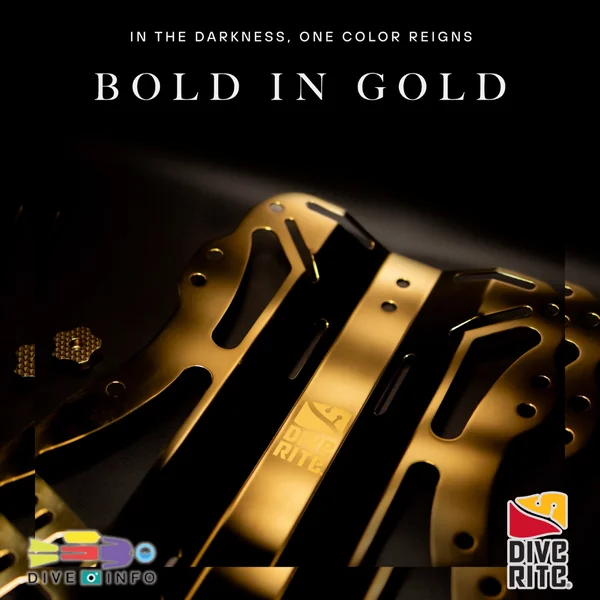 DIVE RITE - BOLD in GOLD FXT - Gold x White Limited Edition BCD (Limited Edition) image 2 DIVE RITE - BOLD in GOLD FXT - Gold x White Limited Edition BCD (Limited Edition) image 2