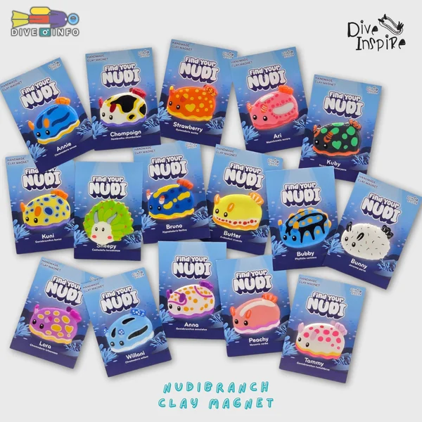 DIVE INSPIRE - NUDIBRANCH Clay Magnet , NUDI Blind Box รวมของน่ารัก ของที่ระลึก image 2 DIVE INSPIRE - NUDIBRANCH Clay Magnet , NUDI Blind Box รวมของน่ารัก ของที่ระลึก image 2