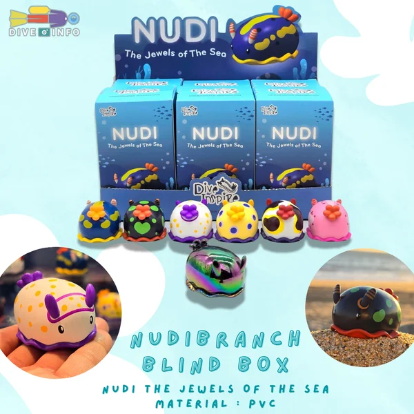 DIVE INSPIRE - NUDIBRANCH Clay Magnet , NUDI Blind Box รวมของน่ารัก ของที่ระลึก image 4 DIVE INSPIRE - NUDIBRANCH Clay Magnet , NUDI Blind Box รวมของน่ารัก ของที่ระลึก image 4