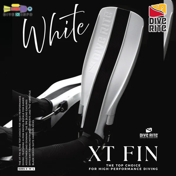 DIVERITE - FINS XT (ตีนกบ อุปกรณ์ดำน้ำ) image 2 DIVERITE - FINS XT (ตีนกบ อุปกรณ์ดำน้ำ) image 2