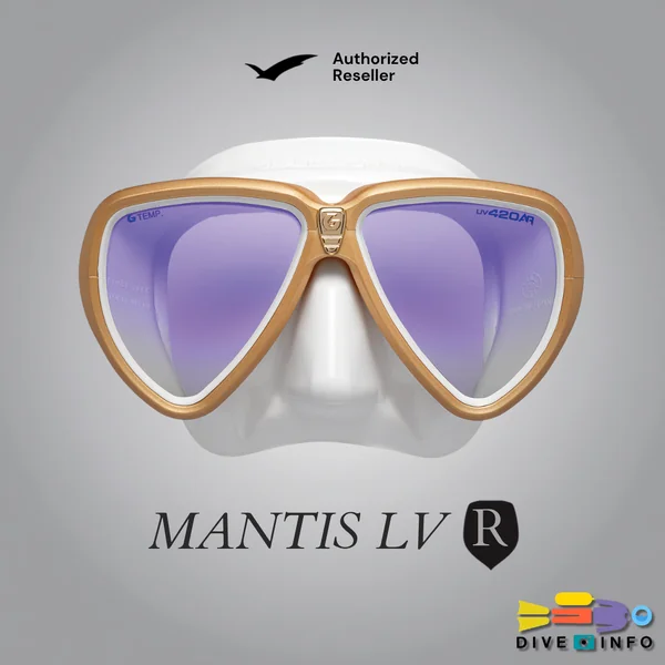 GULL - Mask Mantis LVR (AR), Low Volume หน้ากากเปลี่ยนเลนส์สายตาได้ image 1 GULL - Mask Mantis LVR (AR), Low Volume หน้ากากเปลี่ยนเลนส์สายตาได้ image 1