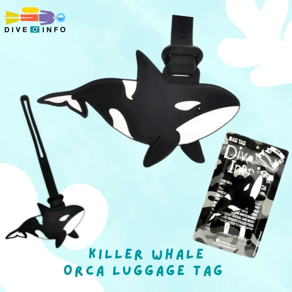 DIVE INSPIRE - Luggage Tag, Bag Tag, Key-Ring, NUDI Blind Box รวมของน่ารัก ของที่ระลึก image 5 DIVE INSPIRE - Luggage Tag, Bag Tag, Key-Ring, NUDI Blind Box รวมของน่ารัก ของที่ระลึก image 5