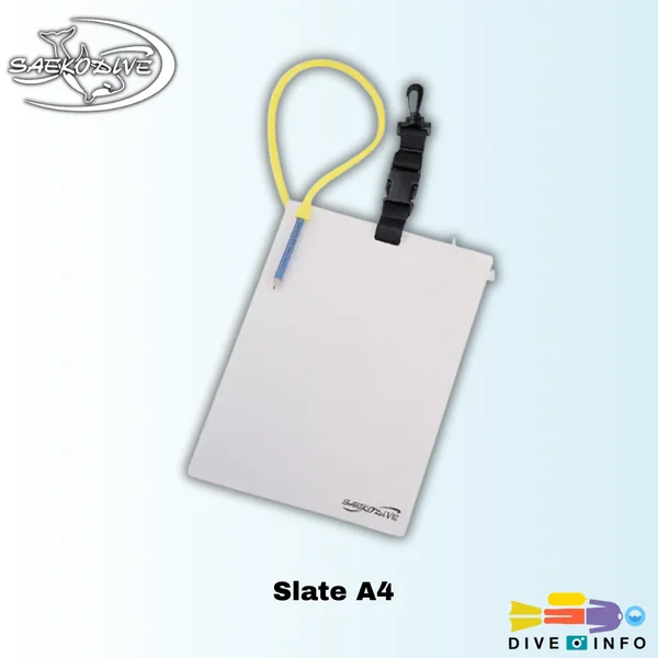 SAEKODIVE - Slate A4 กระดาน สำหรับ เขียนใต้น้ำ image 1 SAEKODIVE - Slate A4 กระดาน สำหรับ เขียนใต้น้ำ image 1