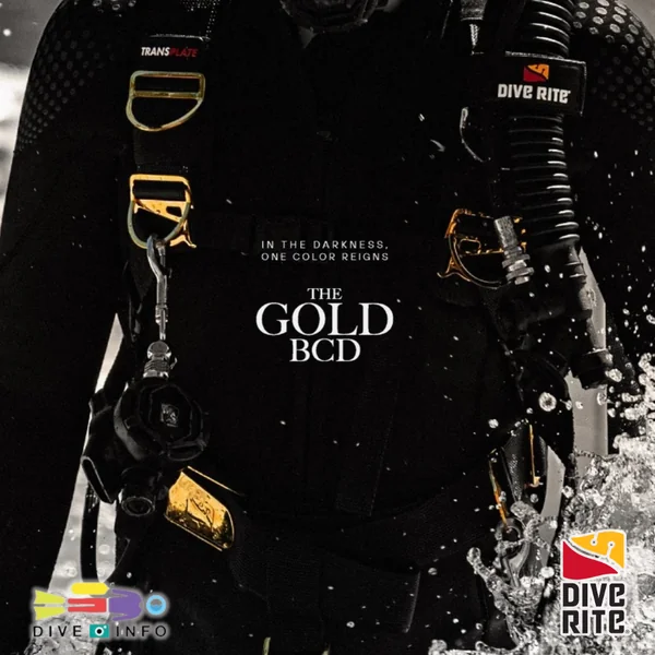DIVE RITE - BOLD in GOLD FXT - Gold x Black Limited Edition BCD - Full SuperFablic image 2 DIVE RITE - BOLD in GOLD FXT - Gold x Black Limited Edition BCD - Full SuperFablic image 2