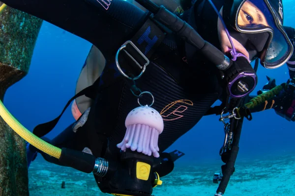 OCEANARIUM - Octopus Holder ตัวล็อค ที่ครอบอ็อคโตพุส ที่เก็บOctopus image 11 OCEANARIUM - Octopus Holder ตัวล็อค ที่ครอบอ็อคโตพุส ที่เก็บOctopus image 11