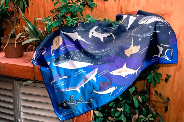OCEANARIUM - Dry Towel , Microfiber dry towel size 140x80cm ผ้าเช็ดตัว ลายน่ารัก image 1 OCEANARIUM - Dry Towel , Microfiber dry towel size 140x80cm ผ้าเช็ดตัว ลายน่ารัก image 1